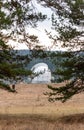 Big satellite dish antennas hidden in green pine tree forest communication center on forest background Royalty Free Stock Photo