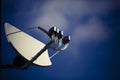 Big satellite dish with multifeed LNB Royalty Free Stock Photo