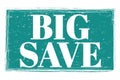 BIG SAVE, words on blue grungy stamp sign Royalty Free Stock Photo