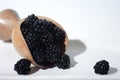 A big scoop of juicy, ripe blackberries