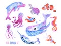 Big sea collection with cute whale, dolphin, narwhal, fish, clownfish, seahorse, turtle, jellyfish, crawfish. Big ocean set of