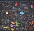 Big sea life animals hand drawn sketch set. doodles of fish, shark, octopus, starfish and crab, whale and sea turtle, seahorse and