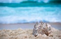 Big sea shell  on the sand on the beach with blur big sea wave in background, close up Royalty Free Stock Photo
