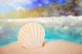 Big sea shell on a white sand with ocean coastline on the background Royalty Free Stock Photo