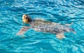 Big sea turtle Caretta spoted near Zakynthos island, Greece