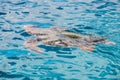 Big sea turtle Caretta spoted near Zakynthos island, Greece