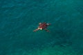 Big sea turtle in Mediterranean Sea swimming at the beach near A Royalty Free Stock Photo