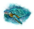 Big sea turtle swimming underwater. Painting Royalty Free Stock Photo