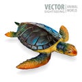 Big sea turtle. Vector illustration. Tortoise isolated on white background. Royalty Free Stock Photo