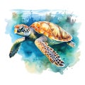 Big sea turtle watercolor painting, Sea life. watercolor sea turtle isolated on white background Royalty Free Stock Photo