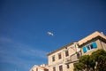 A big seagull flies over a European city