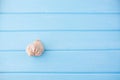 Big seashell lying on a wooden background Royalty Free Stock Photo