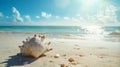 big seashell on the seashore, beautiful summer background