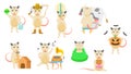 Big Set Abstract Collection Flat Cartoon Different Animal Opossums Vector Design Style Elements Fauna Wildlife Royalty Free Stock Photo