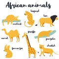 Big set of african animals on white background