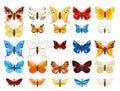 Big set of beautiful butterflies in fun cartoon style. Object isolated on white background. Summer pretty insects Royalty Free Stock Photo