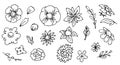 Big set of beautiful funny flower. Cute simple cartoon style. Outline sketch. Hand drawing isolated on a white Royalty Free Stock Photo