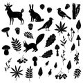 Big set of black and white silhouettes of forest animals, birds, mushrooms and berries. Royalty Free Stock Photo