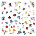 Big set botanic blossom floral elements. Branches, leaves, herbs, wild plants, flowers. Garden, meadow, feild collection