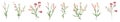 Big set botanical floral elements. Small drawing branches, leaves, herbs, wild plants, flowers. Collection leaf, foliage