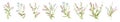 Big set botanical floral elements. Small drawing branches, leaves, herbs, wild plants, flowers. Collection leaf, foliage