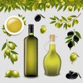 Big Set With Branch Olives And With Transparent background