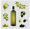 Big Set With Branch Olives And With Virgin Olive Oil In Glass Bottle Transparent background