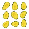 Big set of Brown mature Haas avocado. Halved avocados isolated on white background. Slices of avocado