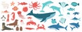 Big set of cartoon isolated sea ocean north animals. Doodle, vector whale, dolphin, shark, stingray, jellyfish, fish, stars, crab