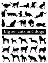 Big set cats and dogs. silhouettes