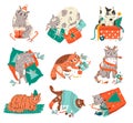 Funny cats Christmas and New Year set. Cute cats with garland, giftboxes , sweaters. Collection of cartoon pets for winter
