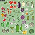 Big set of colored label vegetables
