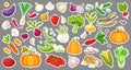 Big set of colorful vegetables. Isolated stickers of vegetables. Natural fresh organic vegetables.Cartoon style vector Royalty Free Stock Photo