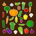 Big set of colorful vegetables with white stroke.