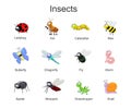 Big set with cute cartoon insects. Vector insects illustration i Royalty Free Stock Photo