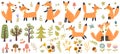 Big set of cute foxes, trees and plants. Forest elements collection