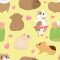 Big set, cute funny guinea pigs of different colors stand, lie, sleep, cute home rodent, vector seamless pattern