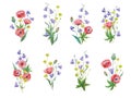 Big set of cute watercolor bouquets of meadow wild plants in rustic retro style.