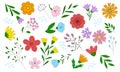 Big set with different flowers and leaves, spring design elements, doodle style vector Royalty Free Stock Photo
