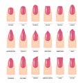Big Set of Different nail shapes. Manicure Guide. Vector Royalty Free Stock Photo