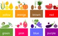 Big set of different ripe fruits and vegetables in flat style. Vegetables and fruits grouped by color Royalty Free Stock Photo