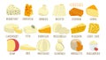 Big set of different types of cheese isolated on white background. Vector graphics Royalty Free Stock Photo