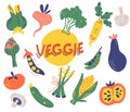 Big set of different vegetables. Greens harvest. Collection of colored hand drawn fresh vegetables. Tasty vegetarian products, Royalty Free Stock Photo