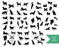 The big set of dog breeds silhouettes Royalty Free Stock Photo