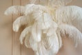 Big set of feathers, large white and fluffy hangs in weightlessness in room as a interior detail