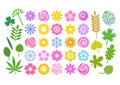 Big set of flowers and leaves in simple cartoon flat style. Cute floral collection for patterns, borders, greeting cards