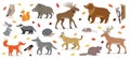 Big set of forest woodland animals isolated vector illustration