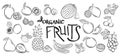 Big set of fruits and vegetables doodle on a white background Royalty Free Stock Photo
