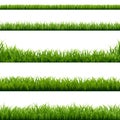 Big Set Green Grass Borders Royalty Free Stock Photo