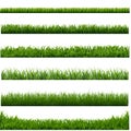 Big Set Green Grass Borders White Background Royalty Free Stock Photo